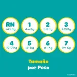 GTIN-0037000829348-06