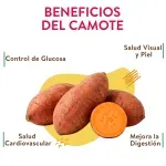 GTIN-0000000033343-03