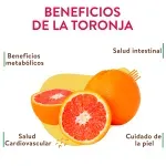 GTIN-0000000042826-03