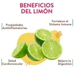 GTIN-0000000040532-03