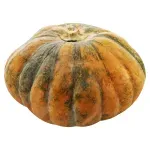 GTIN-0000000047890-03