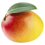 GTIN-0000000040945-02