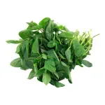 GTIN-7406131341105-02