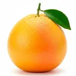 GTIN-0000000081337-02