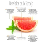 GTIN-0000000081337-03