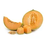 GTIN-0000000085427-01