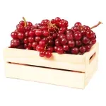 GTIN-7406131339737-02