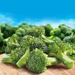 GTIN-7406131343208-05