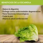 GTIN-7406131334695-04