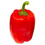 GTIN-0000000046886-02