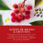 GTIN-7506195189665-04