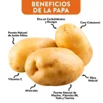 GTIN-0000000071949-03