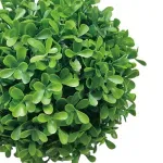 GTIN-6974221246551-02