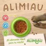 GTIN-0781974001957-05