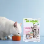 GTIN-0781974001940-04