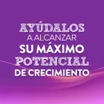 GTIN-0754432204252-06