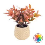 GTIN-6974221247886-01