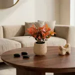 GTIN-6974221247886-08