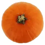 GTIN-2547350000ELI-03