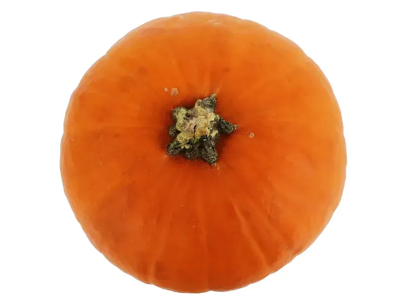 GTIN-2547350000ELI-03