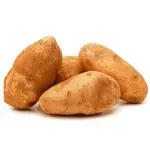 GTIN-0000000040723-02