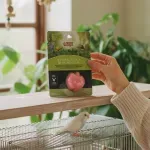 GTIN-0080605821859-04