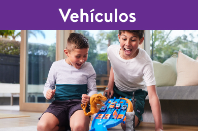 Vehículos