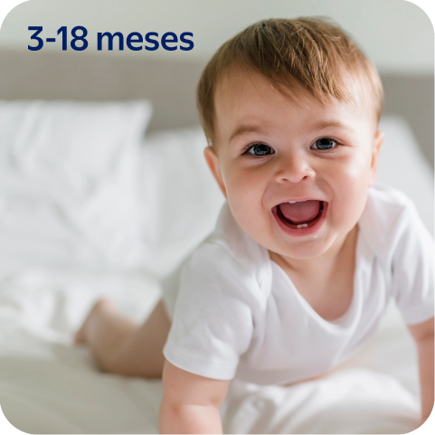 Bebe Activo 