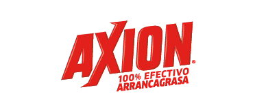 Axion