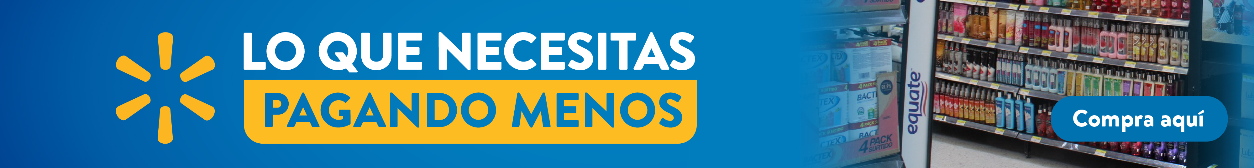Lo que necesitas